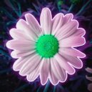 wilfeez - Dreams come true (Original Mix)