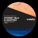 Sydney Blu, Dantiez - CNTRL (Original Mix)