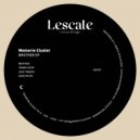 Memorie Cluster - Danz Muzik