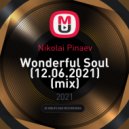 Nikolai Pinaev - Wonderful Soul (12.06.2021) ()