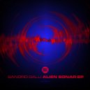 Sandro Galli - Geo System (Original Mix)
