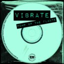 Vibrate - Pump Up The Flaute