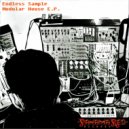 Endless Sample - Modular Integration ()