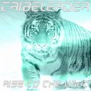 Tribeleader - RISE TO THE LIGHT