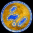 iNFO - Magnetic Fields (Original Mix)