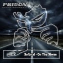 Softmal - On The Storm