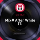 DJ Mur - Mix# After While ()