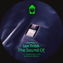 Ian tribb & Samos - I Feel You Go