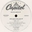 Mystic Merlin - Just Can't Give Up