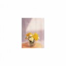 Mindfulness Healing Sleep BGM Project - Renoir and Life