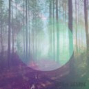 Vaguely Dreaming - Forest Meditations ()