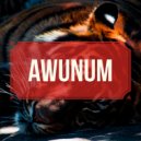 Rex C - Awunum