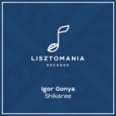 Igor Gonya - Serious Phunk (Original Mix)