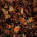 Gorila - Autumn