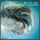 Deleted soul - Diamond ()