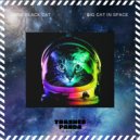 Some Black Cat - BIG CAT IN SPACE