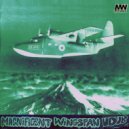 Magnificent Wingspan - VDUB ()