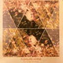 Pleasure Horse - Elephant Grass Road