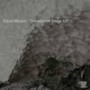 David Meiser - Pursuing My Way
