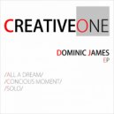 Dominic James - Concious Moment ()