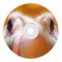 Andy Ascencio - Glide (Original mix)