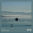 Flaime - Can You See