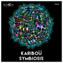 Kariboü - Symbiosis (Original Mix)