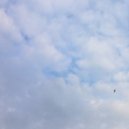 Stasis & faithful_fellow - Burned Bridge ()