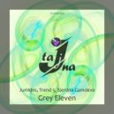 Jumkins & Sjerdna Gamdeva & Trend 5 - Grey Eleven (Extra Version)