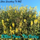 BRad From The Valley - Show Something To Me (Raw)