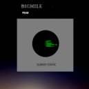 Bigmile - Fear