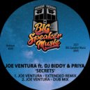  DJ Biddy  &  Priya - Secrets (feat. DJ Biddy & Priya)