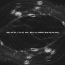 BPMoore  - The World is as You Are (Glowworm Rework)