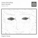 Marco Bocatto  - Nature Life