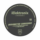 DESIGNATED SURVIVORS - WE ARE ... (Original mix)