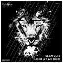 Sean Luiz - Look At Me Now