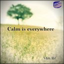Max Rif - Calm is everywhere