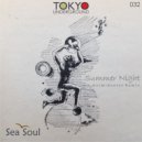 Sea Soul  - Summer Night (Dormidontov Remix)
