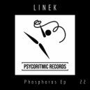 Linek - Schizoaffektiv (Original mix)