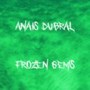 Anais Dubral - Frozen Gems (Radio Edit)