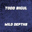 Todd Bigul - Wild Depths (Radio Edit)