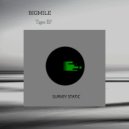 Bigmile - TechForm