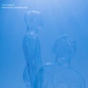 Tim August - Absolutely (Introduced)