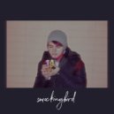 smockingbird - преступление века ()