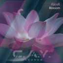 AlexK - Blossom