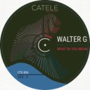 Walter G - What Do You Mean