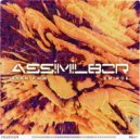 Ryan PWM & Em Roe - assimil8or ()