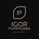 Igor Pumphonia - She Saw Me Smile (Dub)