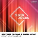 Sentinel Groove & Robin Moog - Don\'t You Want Me (Original Mix)
