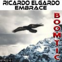 Ricardo Elgardo - Endless Flight